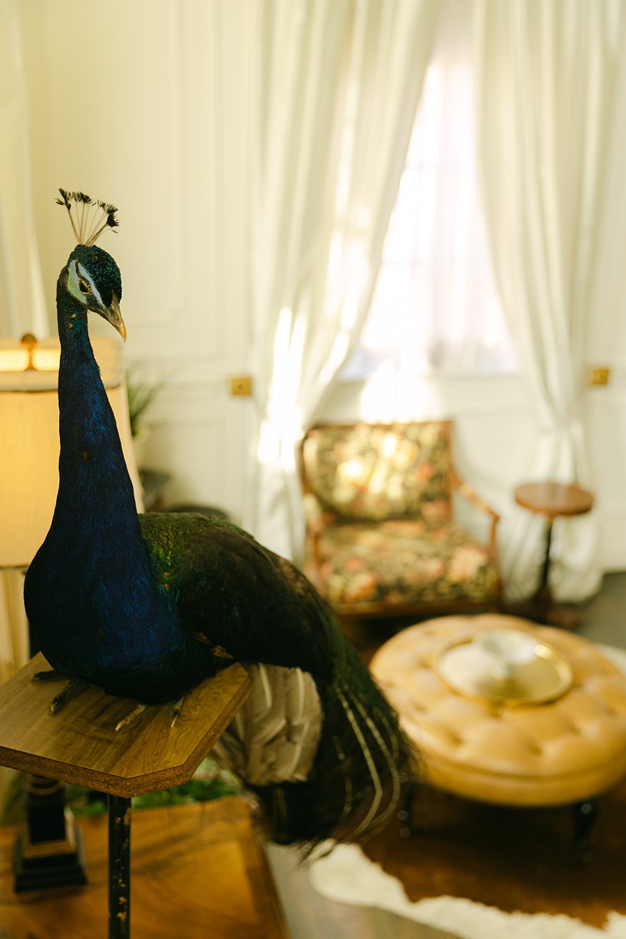 Natalia and Caleb in a refined editorial elopement portrait with Old Hollywood atmosphere